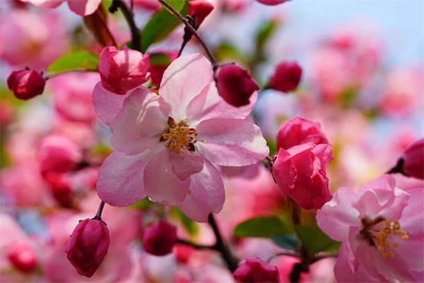 英文昵称简短好听霸气