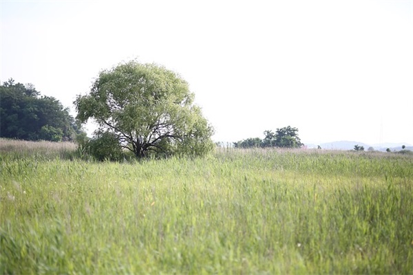比较特别的淘宝昵称(91个)
