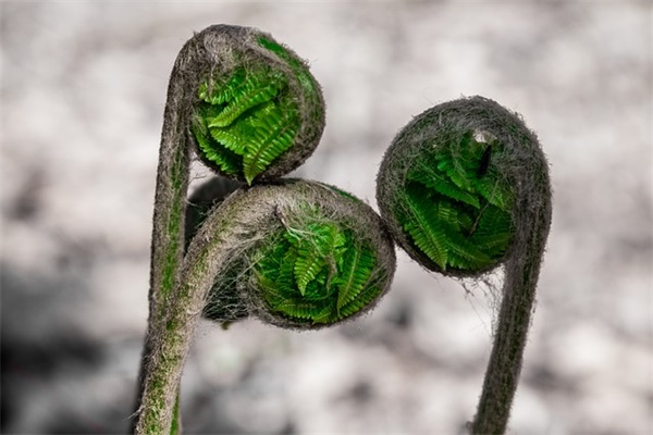 让人一眼就喜欢微信网名(123个)