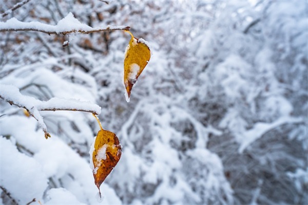 老公宠老婆的网名(精选124个)