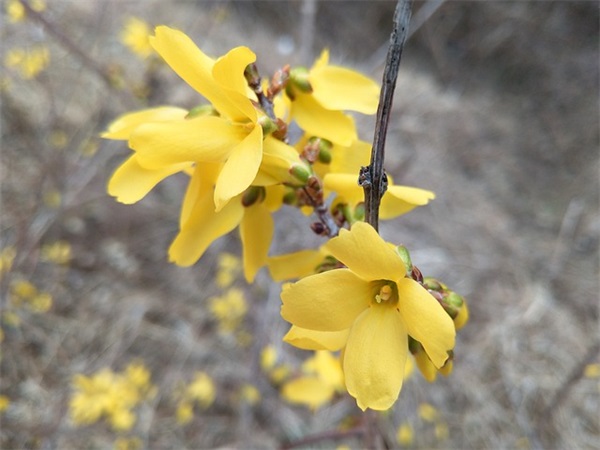 带符号超拽的男生网名(106个)