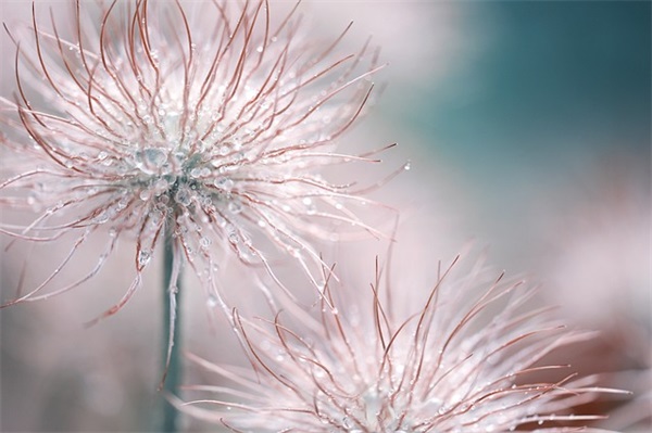 韩姓男孩名字大全2025虎年630个