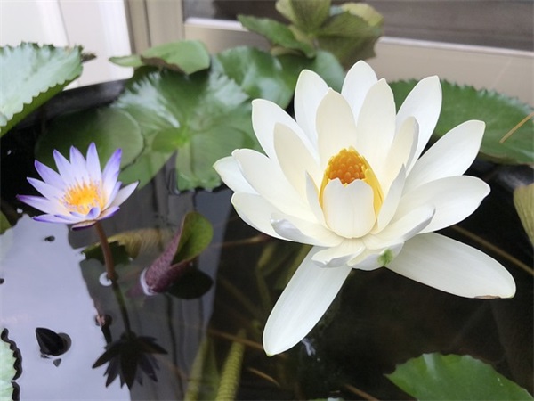 陈姓好听稀少的男孩名字620个