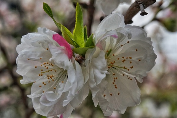 曹姓好听到爆炸的名字620个