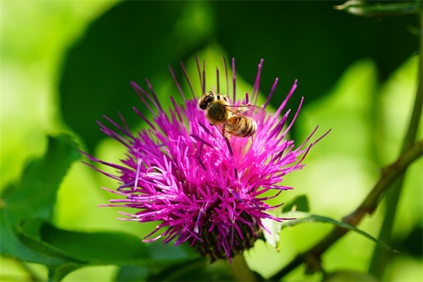 女生名字好听的真名690个