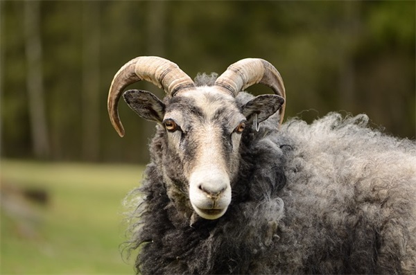 帅气稳重的男孩名字690个