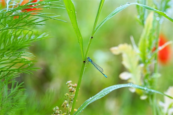 男孩简洁单一名字690个