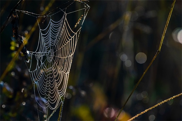 好名字大全 女孩子690个