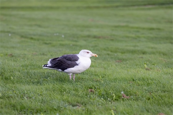 环保公司的名字怎么取500个