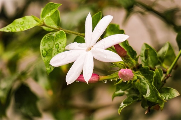 餐饮店名大全490个