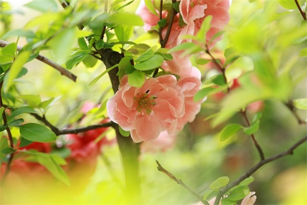 冷门且好听的公司名字500个