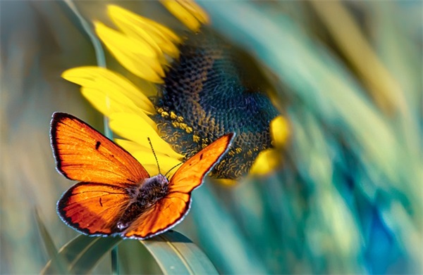 给孩子起名字大全免费650个