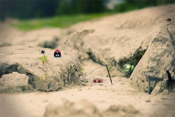 贾姓好听稀少的女孩名字580个