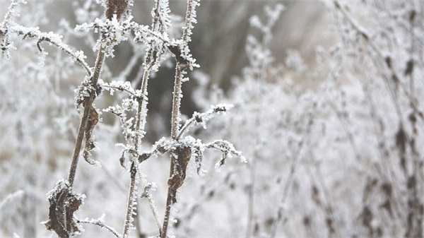 100个好听到爆的乳名大全