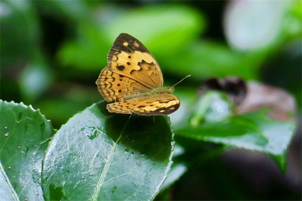 女孩起什么名字好听有内涵有寓意630个 女孩起什么名字好听有内涵有寓意630个