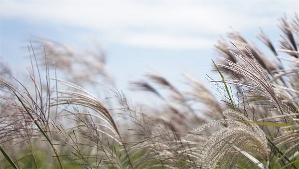 简单大气三个字公司名字530个