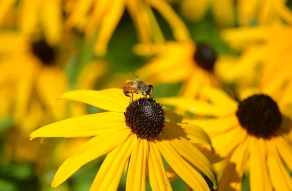 100个好听到爆英文名男，好听的男孩英文名顺口的
