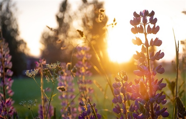 2025年虎女宝宝的名字好听560个