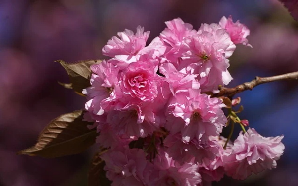 缺金的男孩怎么取名字550个