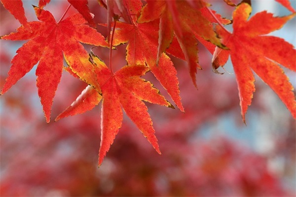 2025年男孩名字好听大气520个