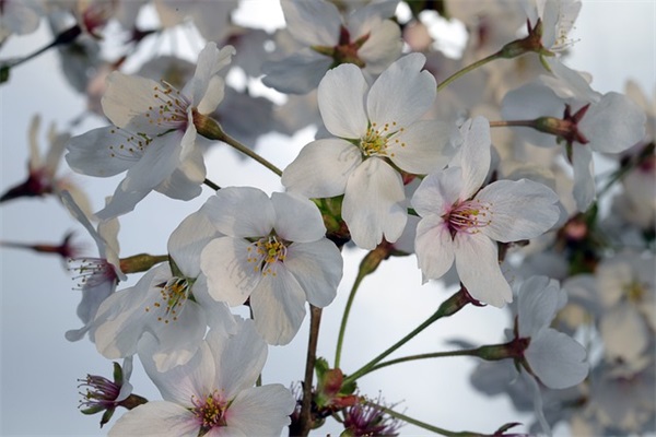 男孩大方豪气的名字520个