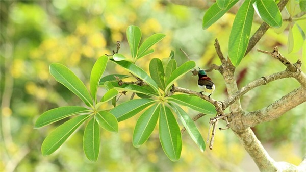男孩名字好听寓意好520个，好听的虎宝宝名字男取名