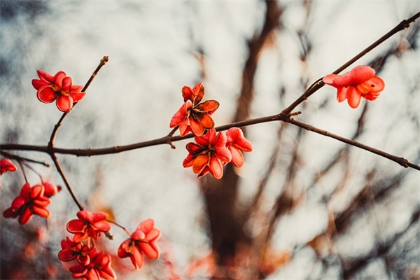 霸气的男孩名字大全500个，男孩阳刚一点的名字