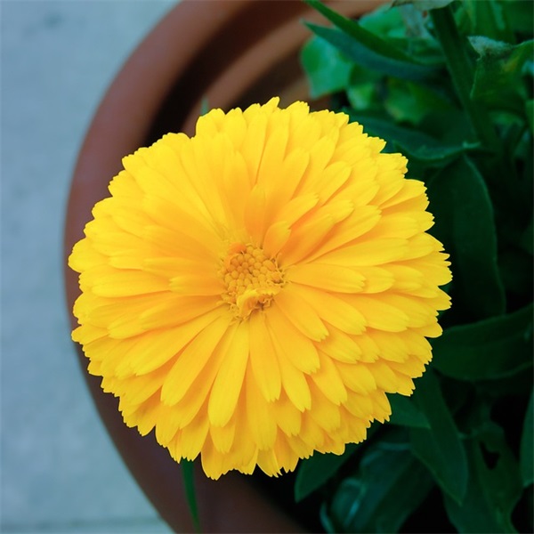 沈姓男孩名字大全2025