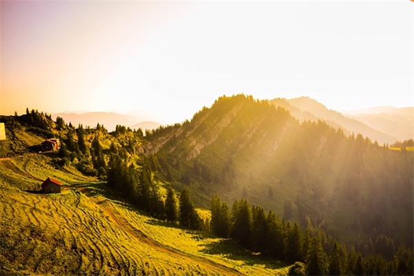 属兔有福气的女孩名字,独一无二洋气女孩名