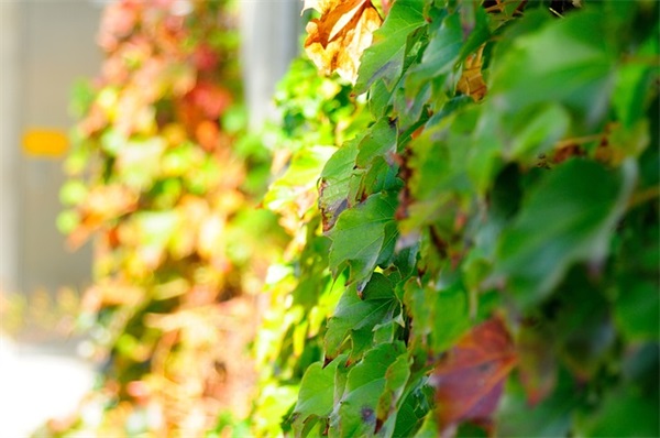 属兔女孩最吉利的名字,20xx兔年女宝宝起名