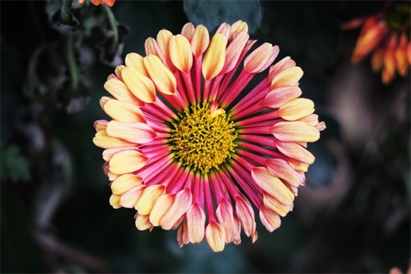 稳重又英俊的男孩名字460个