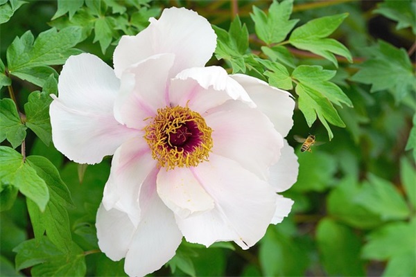 见之难忘的男孩名字460个