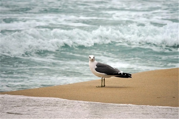 女宝宝的名字大全2025取名450个，属虎的最新版的女孩名字