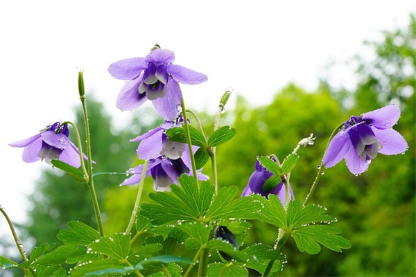 高级感的女孩名字大全450个，女孩有气质的好名字