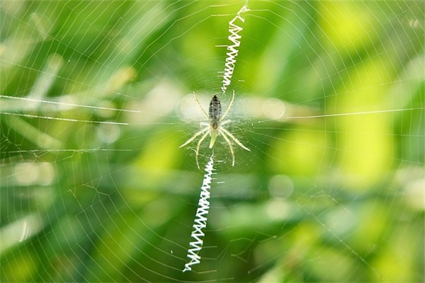 草字头的字男孩起名字450个