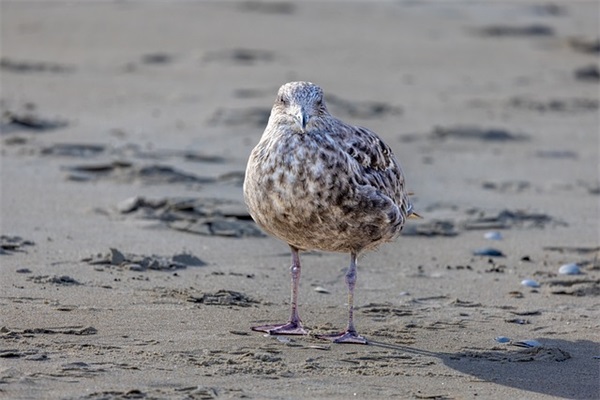 好听的名字女孩仙气450个