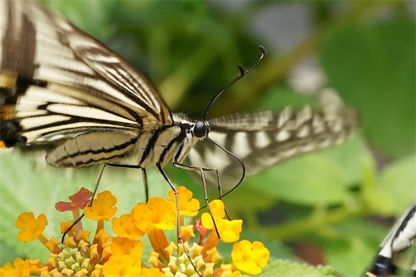 响亮霸气的男孩名字450个