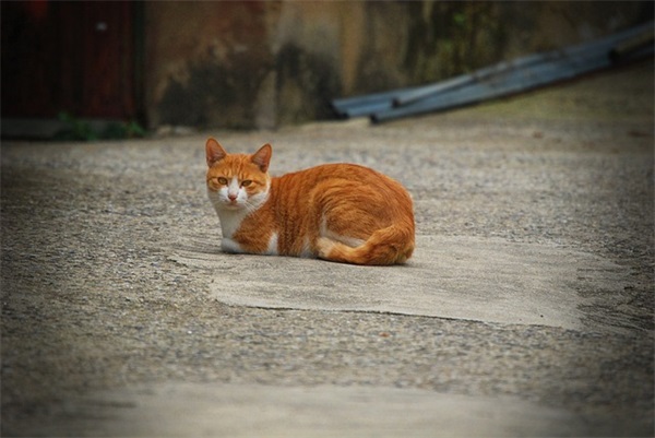 优质好听的男孩名字438个，气质男生名字好听的真名八字起名