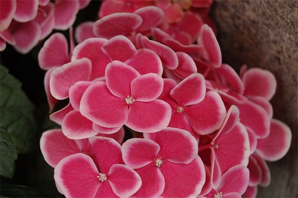 荐人生感悟说说