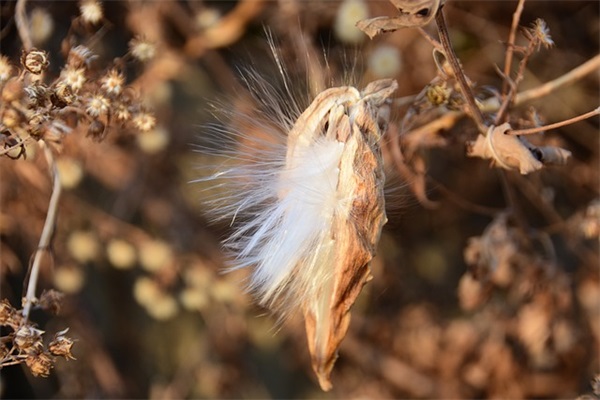 空间说说评论搞笑句子57句