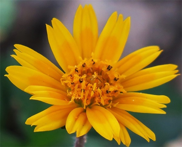 朋友生日qq空间说说135句