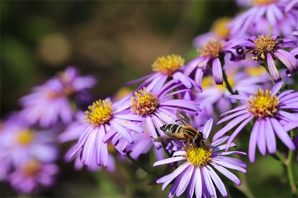 高级又沙雕的生日祝福创意文案说说