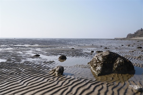 2025春节快乐祝福说说