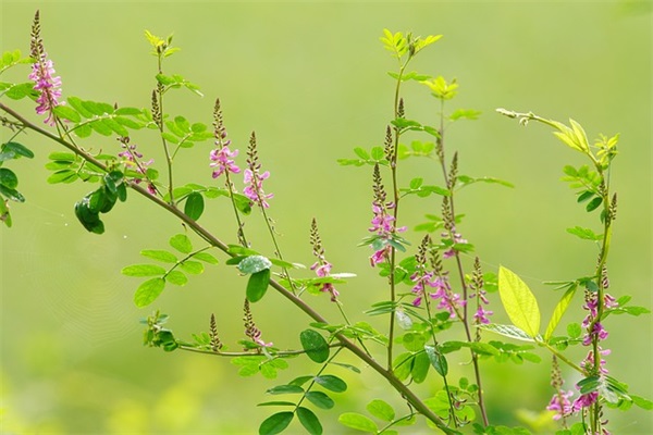分手说啥话让女友伤心