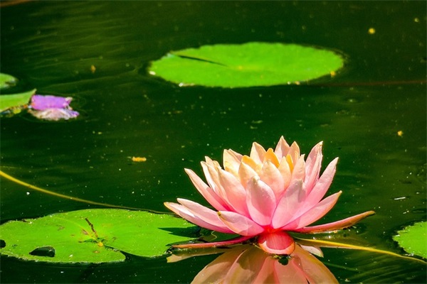 再见2025你好2025说说文案大全