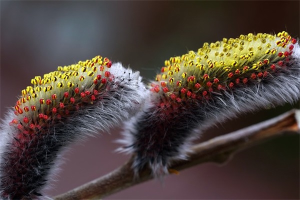 冬至暖心文案说说