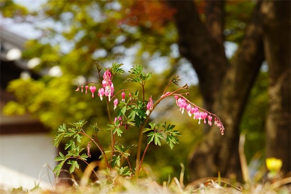 朋友生日qq空间说说