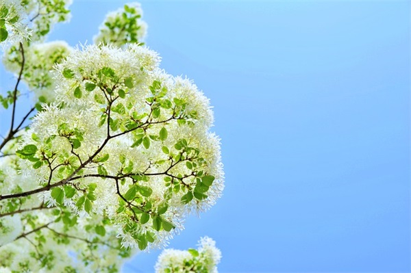 2025年跨年说说大全99句