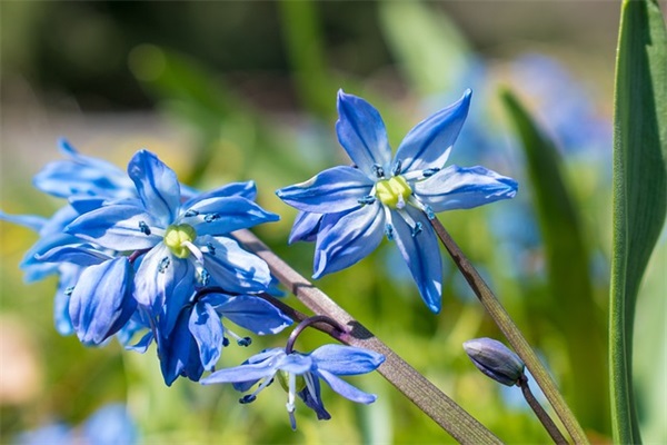 qq搞笑说说评论大全41句