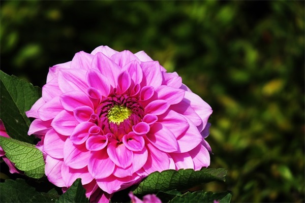 qq空间说说长评论60句